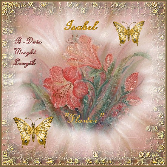 isabel 2  birth tag.gif