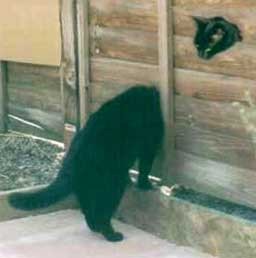 /download.spark?ID=554243&aBID=125836